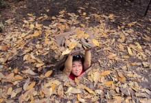CUCHI TUNNELS AND SAIGON FULL DAY TOUR from 32 USD/person only